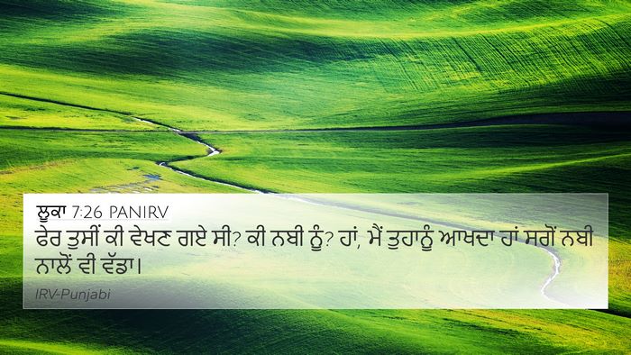 ਲੂਕਾ 7:26 PANIRV Bible Verse Image