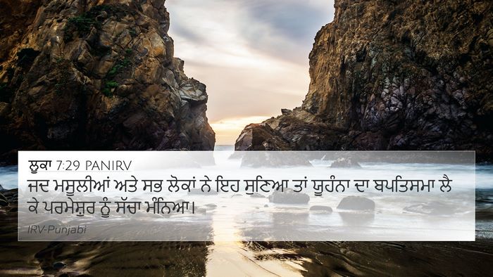 ਲੂਕਾ 7:29 PANIRV Bible Verse Image
