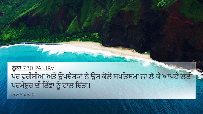 ਲੂਕਾ 7:30 PANIRV Bible Verse Image