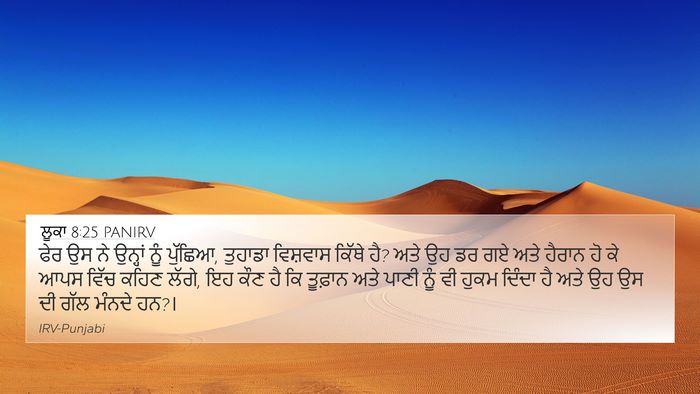 ਲੂਕਾ 8:25 PANIRV Bible Verse Image