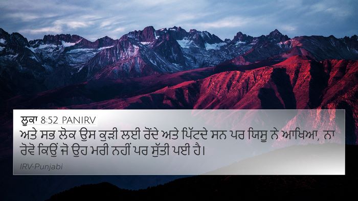 ਲੂਕਾ 8:52 PANIRV Bible Verse Image