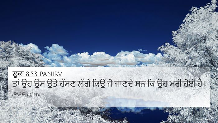 ਲੂਕਾ 8:53 PANIRV 4K Wallpaper - ਤਾਂ ਉਹ ਉਸ ਉੱਤੇ ਹੱਸਣ - 4K Wallpaper Bible Verse