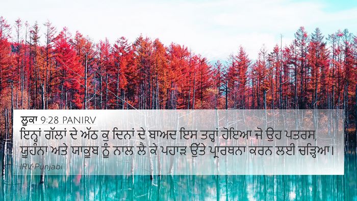ਲੂਕਾ 9:28 PANIRV Bible Verse Image