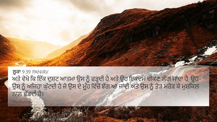 ਲੂਕਾ 9:39 PANIRV Bible Verse Image