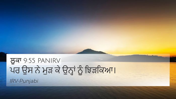 ਲੂਕਾ 9:55 PANIRV Bible Verse Image