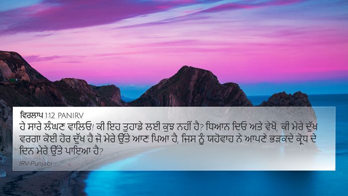 ਵਿਰਲਾਪ 1:12 PANIRV Bible Verse Image