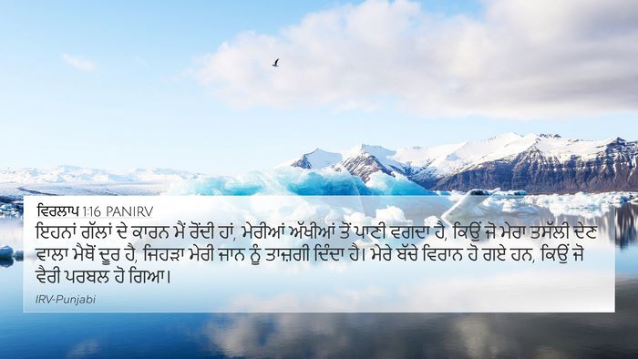 ਵਿਰਲਾਪ 1:16 PANIRV Bible Verse Image