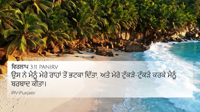 ਵਿਰਲਾਪ 3:11 PANIRV Bible Verse Image
