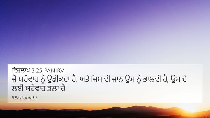 ਵਿਰਲਾਪ 3:25 PANIRV Bible Verse Image