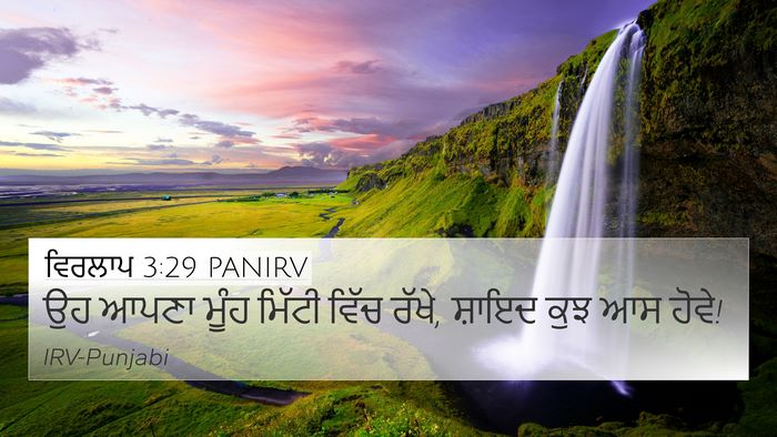 ਵਿਰਲਾਪ 3:29 PANIRV Bible Verse Image