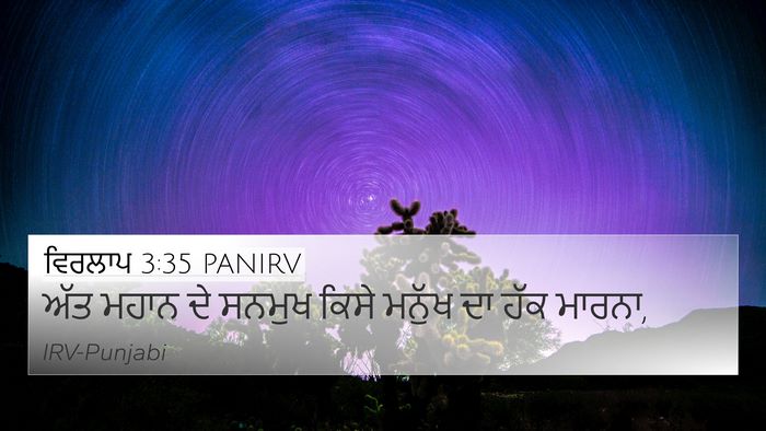 ਵਿਰਲਾਪ 3:35 PANIRV Bible Verse Image