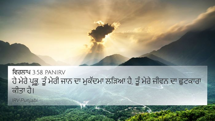 ਵਿਰਲਾਪ 3:58 PANIRV Bible Verse Image