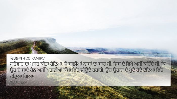 ਵਿਰਲਾਪ 4:20 PANIRV Bible Verse Image