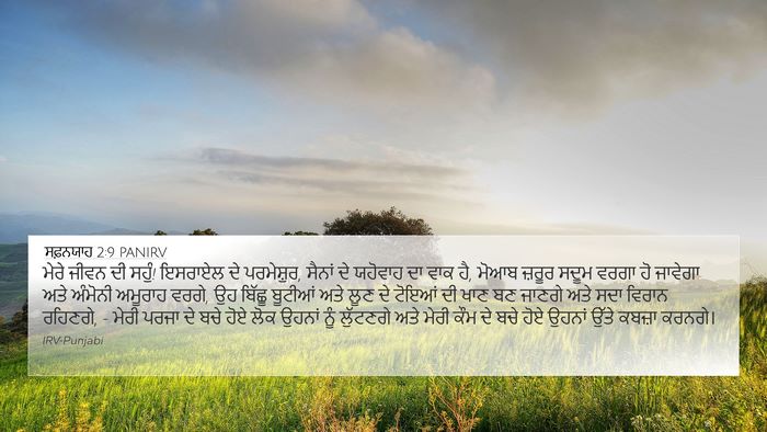 ਸਫ਼ਨਯਾਹ 2:9 PANIRV Bible Verse Image