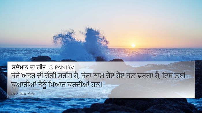 ਸੁਲੇਮਾਨ ਦਾ ਗੀਤ 1:3 PANIRV Bible Verse Image