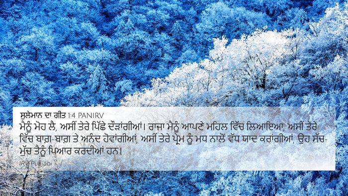ਸੁਲੇਮਾਨ ਦਾ ਗੀਤ 1:4 PANIRV Bible Verse Image