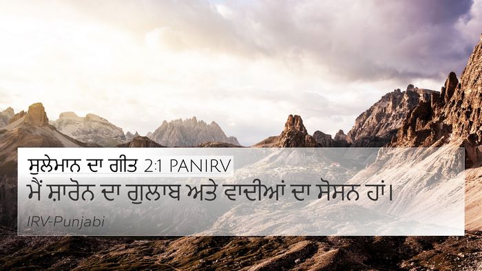 ਸੁਲੇਮਾਨ ਦਾ ਗੀਤ 2:1 PANIRV 4K Wallpaper - ਮੈਂ ਸ਼ਾਰੋਨ ਦਾ - 4K Wallpaper Bible Verse