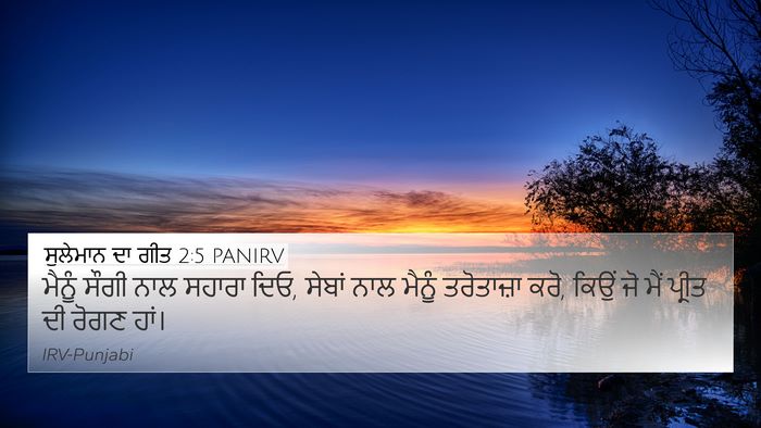 ਸੁਲੇਮਾਨ ਦਾ ਗੀਤ 2:5 PANIRV Bible Verse Image