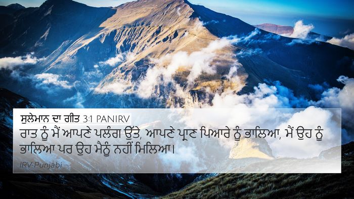 ਸੁਲੇਮਾਨ ਦਾ ਗੀਤ 3:1 PANIRV Bible Verse Image