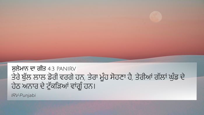 ਸੁਲੇਮਾਨ ਦਾ ਗੀਤ 4:3 PANIRV Bible Verse Image