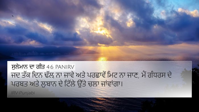 ਸੁਲੇਮਾਨ ਦਾ ਗੀਤ 4:6 PANIRV Bible Verse Image