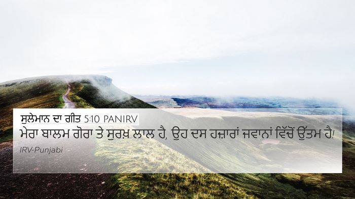 ਸੁਲੇਮਾਨ ਦਾ ਗੀਤ 5:10 PANIRV Bible Verse Image