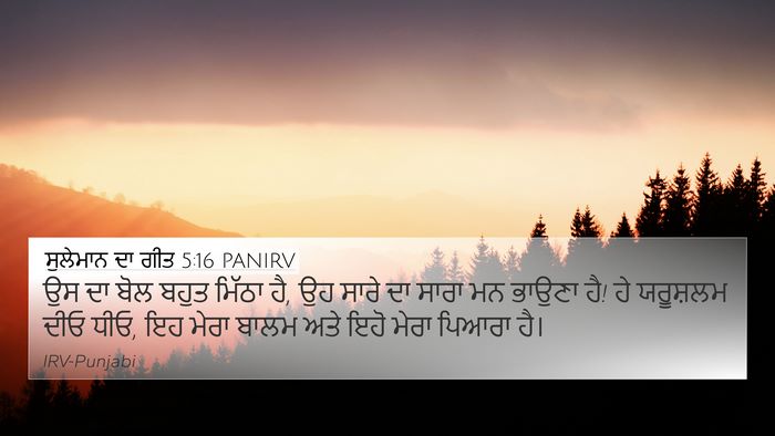 ਸੁਲੇਮਾਨ ਦਾ ਗੀਤ 5:16 PANIRV Bible Verse Image