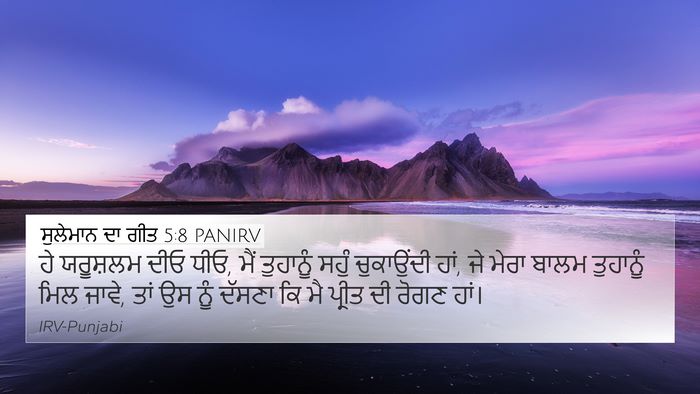 ਸੁਲੇਮਾਨ ਦਾ ਗੀਤ 5:8 PANIRV Bible Verse Image