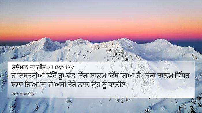 ਸੁਲੇਮਾਨ ਦਾ ਗੀਤ 6:1 PANIRV Bible Verse Image