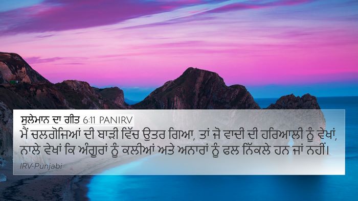 ਸੁਲੇਮਾਨ ਦਾ ਗੀਤ 6:11 PANIRV Bible Verse Image
