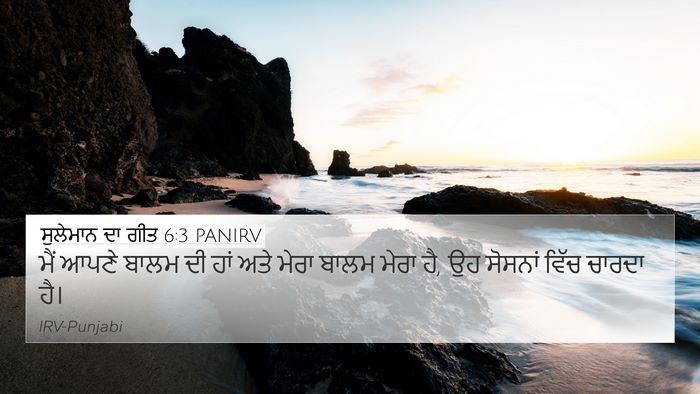ਸੁਲੇਮਾਨ ਦਾ ਗੀਤ 6:3 PANIRV Bible Verse Image