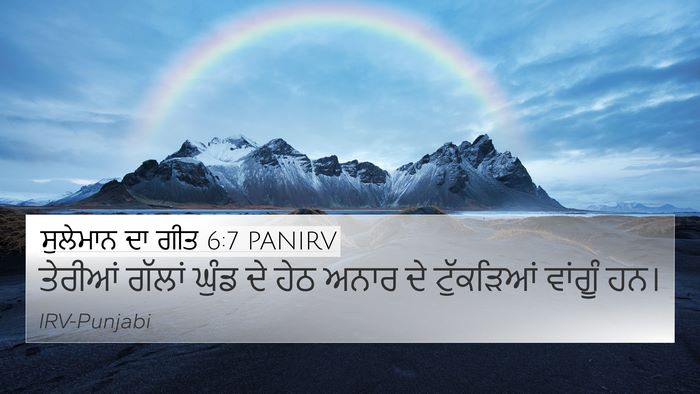 ਸੁਲੇਮਾਨ ਦਾ ਗੀਤ 6:7 PANIRV Bible Verse Image