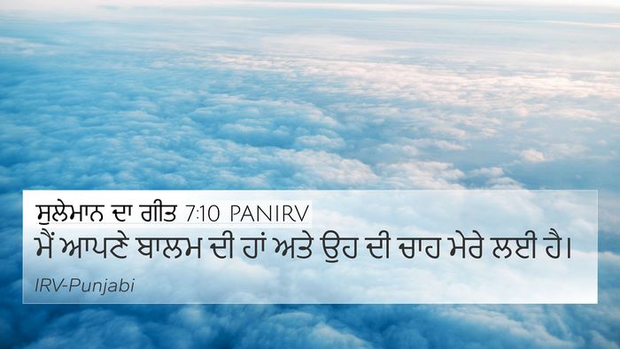 ਸੁਲੇਮਾਨ ਦਾ ਗੀਤ 7:10 PANIRV Bible Verse Image