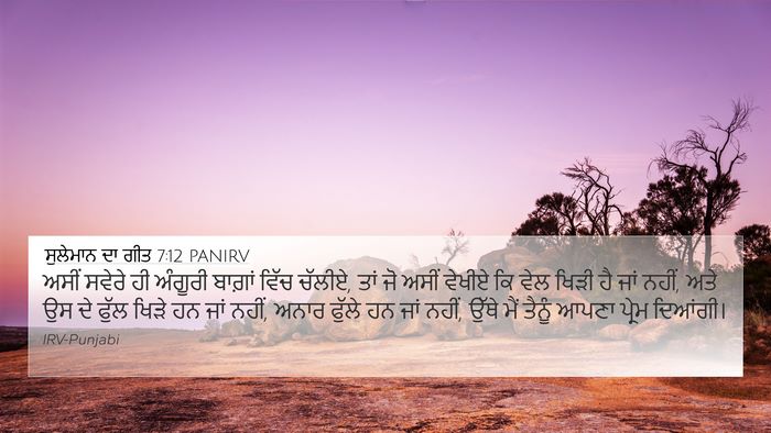 ਸੁਲੇਮਾਨ ਦਾ ਗੀਤ 7:12 PANIRV Bible Verse Image