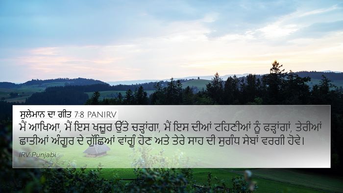 ਸੁਲੇਮਾਨ ਦਾ ਗੀਤ 7:8 PANIRV Bible Verse Image