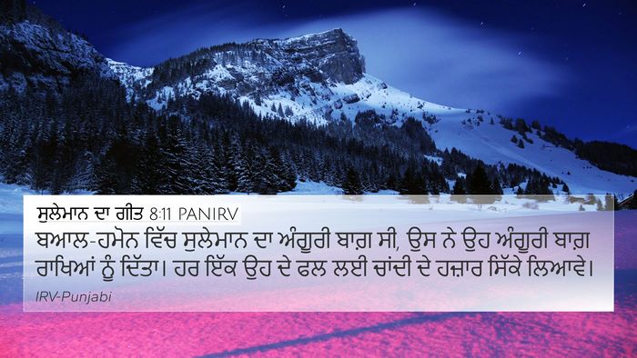 ਸੁਲੇਮਾਨ ਦਾ ਗੀਤ 8:11 PANIRV Bible Verse Image