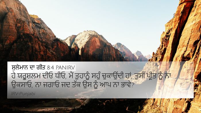 ਸੁਲੇਮਾਨ ਦਾ ਗੀਤ 8:4 PANIRV Bible Verse Image