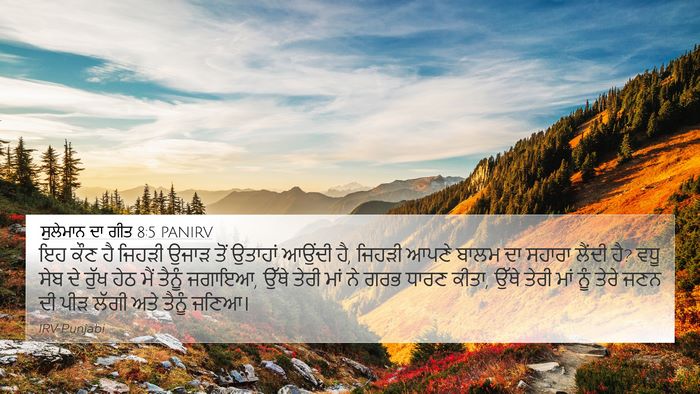 ਸੁਲੇਮਾਨ ਦਾ ਗੀਤ 8:5 PANIRV Bible Verse Image