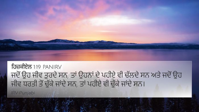 ਹਿਜ਼ਕੀਏਲ 1:19 PANIRV Bible Verse Image
