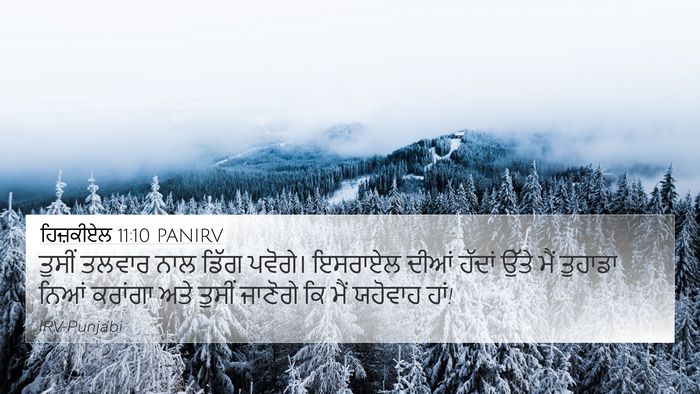 ਹਿਜ਼ਕੀਏਲ 11:10 PANIRV Bible Verse Image