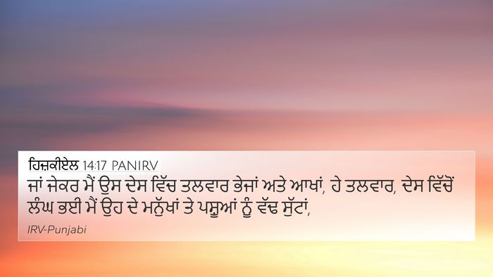 ਹਿਜ਼ਕੀਏਲ 14:17 PANIRV Bible Verse Image