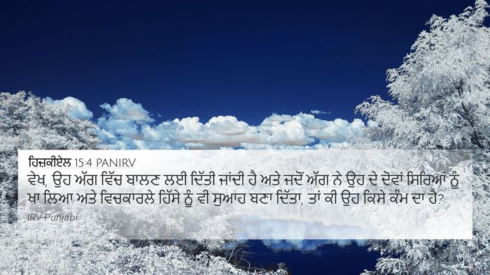 ਹਿਜ਼ਕੀਏਲ 15:4 PANIRV Bible Verse Image