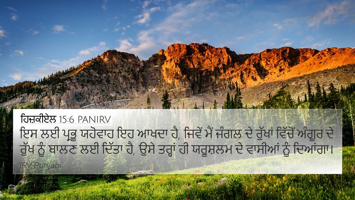 ਹਿਜ਼ਕੀਏਲ 15:6 PANIRV Bible Verse Image