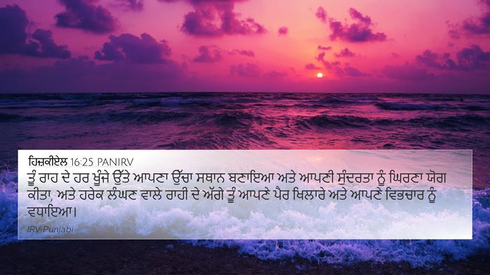 ਹਿਜ਼ਕੀਏਲ 16:25 PANIRV Bible Verse Image