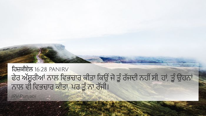 ਹਿਜ਼ਕੀਏਲ 16:28 PANIRV Bible Verse Image