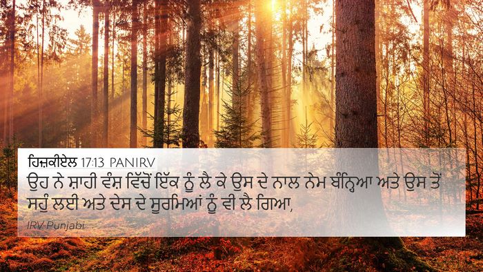 ਹਿਜ਼ਕੀਏਲ 17:13 PANIRV Bible Verse Image