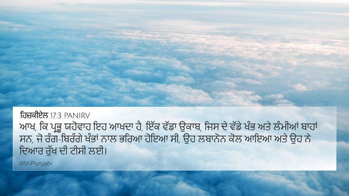 ਹਿਜ਼ਕੀਏਲ 17:3 PANIRV Bible Verse Image
