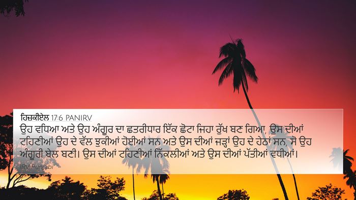 ਹਿਜ਼ਕੀਏਲ 17:6 PANIRV Bible Verse Image
