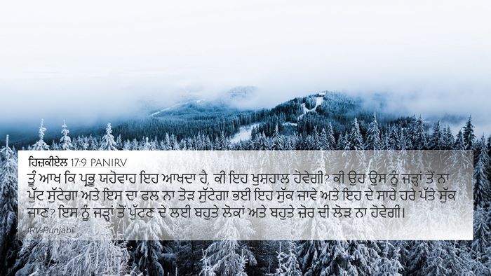 ਹਿਜ਼ਕੀਏਲ 17:9 PANIRV Bible Verse Image