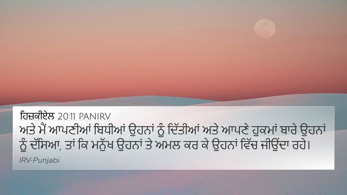 ਹਿਜ਼ਕੀਏਲ 20:11 PANIRV Bible Verse Image